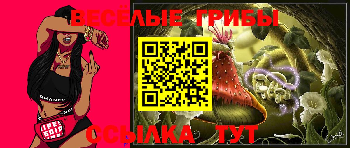 Псилоцибиновые грибы Magic Shrooms  Вход с VPN  Кинель  Псилоцибиновые грибы Psilocybe 
